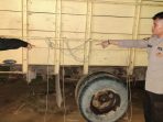 Polsek Jebus Amankan Pelaku Penyiksaan Anak Di Bawah Umur Yang Diikat Di Mobil Truk