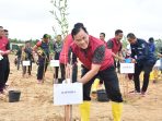 Polda Babel Tanami 1.870 Tanaman Kayu Putih Dilahan Eks Tambang Di Area Bandara