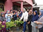 Hidayat Arsani Bagikan Pohon Cabai dalam Polybag Siap Panen Gratis, Tahap Pertama Target 10.000 Batang