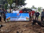 Salurkan 3 Ekor Sapi Qurban, PT NMS Didoakan Warga Segera Beroperasi