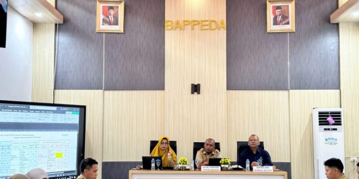 Mantapkan Indikator Pembangunan RPJPD 2025-2045, Bappelitbangda Basel Gelar FGD