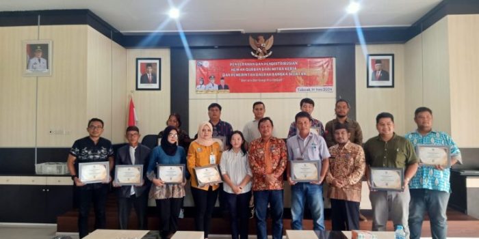 Pemkab Basel Terima Puluhan Sapi Kurban dari Mitra Perusahaan