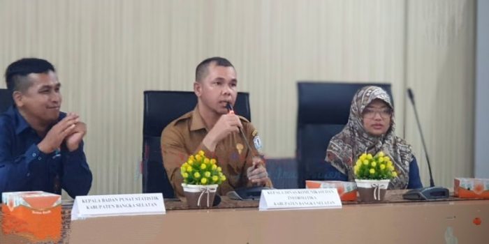 Kolaborasi BPS dan Diskominfo: Pembinaan Statistik Sektoral untuk Efisiensi Data 2024