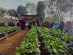 PT Timah Lakukan Beragam Insiatif Program untuk Mendukung Ketahanan dan Pengembangan Pertanian di Lingkar Tambang