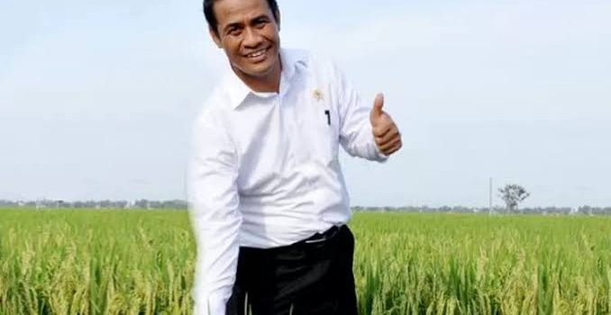 Mentan RI Dijadwalkan Kunjungi Desa Rias, Fokus pada Optimalisasi Lahan Rawa dan Produktivitas Padi