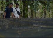 Gerakkan Ekonomi Masyarakat, PT Timah Berikan Bantuan Usaha untuk Kelompok Usaha Sumber Rezeki Bangka Barat