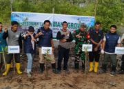 Mangrove untuk Pesisir Berkelanjutan, PT Timah Kembali Tanam Ribuan Mangrove di Desa Sawang Laut