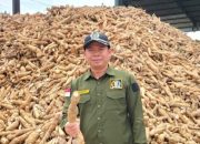Panitia Khusus Tata Niaga Singkong DPRD Lampung I Made Suarjaya Menilai Pemkab Lamteng Tak Serius Jalankan Ketetapan Harga Singgkong Terbaru