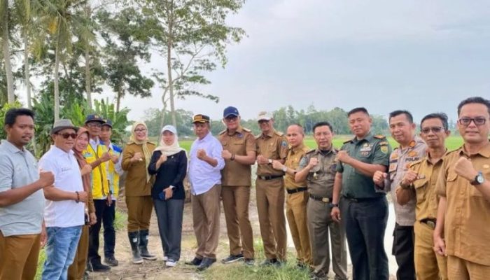 Lesty Putri Utami Didampingi Pj Sekretaris Lakukan Pengecekan  Penanganan Banjir di Kecamatan Palas