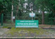 Hutan Kota Mentok, Komitmen PT Timah Jaga Flora Fauna Endemik dan Kawasan Konservasi