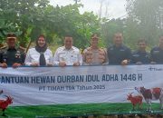 Pererat Silaturahmi, PT Timah Tebar Ratusan Hewan Kurban di Empat Provinsi