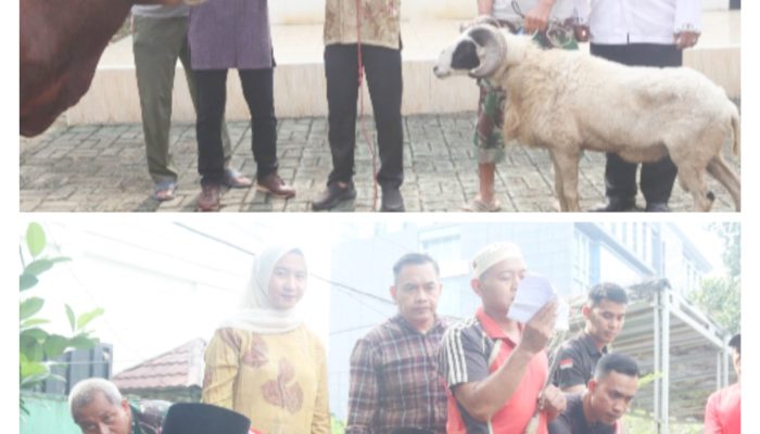 Kodim 0623/Cilegon Adakan Pemotongan Hewan Qurban : Melaksanakan Perintah Allah SWT