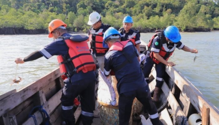 Jaga Ekosistem Pesisir dan Tingkatkan Ekonomi Masyarakat, PT Timah Kembali Restocking Ratusan Kepiting Bakau di Perairan Kundur