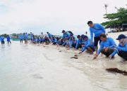Dukung Pariwisata dan Ekosistem Laut, PT Timah Tbk Bersama AAI Sumbagsel Lepasliar Tukik Sisik di Pulau Kelayang