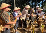 Kapolres Bangka Tengah Hadiri Panen Raya Jagung Serentak, Dukung Ketahanan Pangan Daerah
