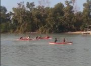 Lestarikan Lingkungan dan Budaya Masyarakar Pesisir, PT Timah Dukung Lomba Dayung dan Penanaman Mangrove Bersama HNSI Bangka
