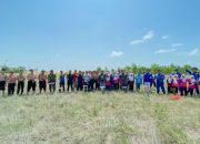 Jaga Ekosistem Pesisir, PT Timah Bersama HNSI Bangka Tanam Ribuan Mangrove di Nelayan II Sungailiat