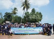 Jaga Ekosistem Pantai Batu Bedaun Bangka Belitung, PT Timah Kolaborasi dengan Karang Taruna Desa Rajik Tanam Ribuan Mangrove