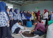 Jaga Lingkungan dan Tingkatkan Ekonomi Warga, PT Timah Latih Ibu-ibu  Sungailiat Olah Sampah Jadi Kompos Bernilai Ekonomis