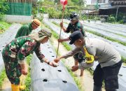 Kodim 0623/Cilegon Gencarkan Program Ketahanan Pangan dalam TMMD ke-125