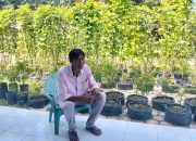 Menanam Kemandirian dari Pekarangan Rumah