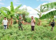 Babinsa Koramil 2302/Bojonegara Laksanakan Pembinaan Ketahanan Wilayah di Dua Lokasi