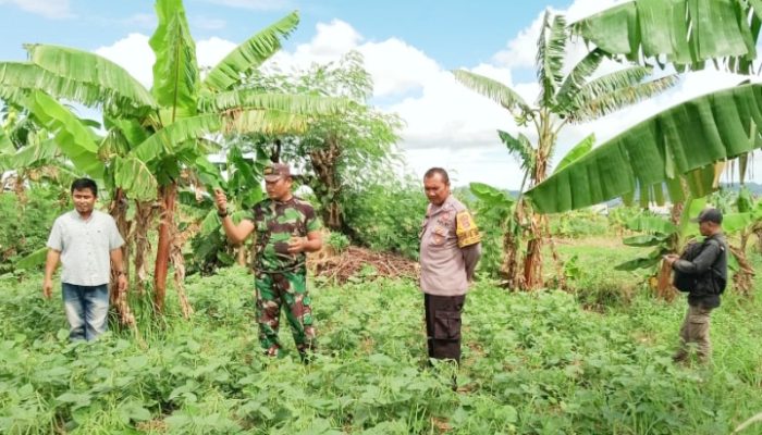 Babinsa Koramil 2302/Bojonegara Laksanakan Pembinaan Ketahanan Wilayah di Dua Lokasi