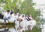 PT TIMAH  Tbk Tebar Belasan Ribu Bibit Ikan di Kolong Bekas Tambang, Optimalisasi Pemanfaatan Kolong dan Ekonomi Masyarakat