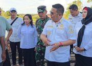 Bupati dan Wakil Bupati Basel Sidak Kawasan DAS Pergam, Tanggapi Laporan Warga Soal Dugaan Pembalakan Liar