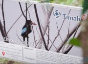 Bersama PPS Alobi, PT TIMAH Tbk Rawat dan Kembalikan Satwa ke Alam Bebas