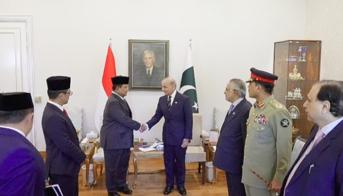 RI Gandeng Pakistan untuk Penuhi Kebutuhan Dokter dan Perluas Kerja Sama Strategis