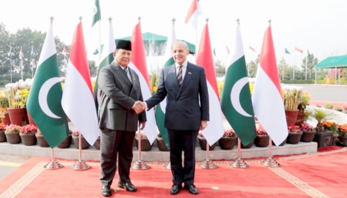 Kunjungan Bersejarah : Pakistan Puji Sikap Tegas Prabowo soal Palestina
