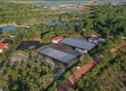 Dari Reklamasi hingga Mangrove, PT TIMAH Tbk Dorong Pemulihan Lingkungan Berkelanjutan