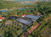 Dari Reklamasi hingga Mangrove, PT TIMAH Tbk Dorong Pemulihan Lingkungan Berkelanjutan