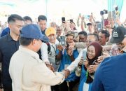 Cek Panen Raya di Karawang, Petani Antusias Bertemu Prabowo