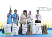 Prabowo Bangga Swasembada Pangan Tercapai dalam Setahun: Kita Berdiri di Atas Kaki Sendiri