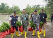 Lewat Program TJSL, PT TIMAH Tbk Tanam Belasan Ribu Mangrove di Kundur dan Meranti untuk Jaga Ekosistem Pesisir