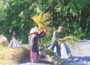 Babinsa Koramil 2306/Mancak Dampingi Petani, Wujud Nyata Dukungan Ketahanan Pangan