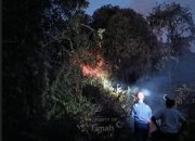PT TIMAH Tbk Bergerak Cepat Bantu Warga Padamkan Kebakaran Lahan