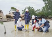 Edukasi Pelajar Soal Lingkungan, PT TIMAH Tbk Tanamkan Kepedulian Lewat Program Mangrove
