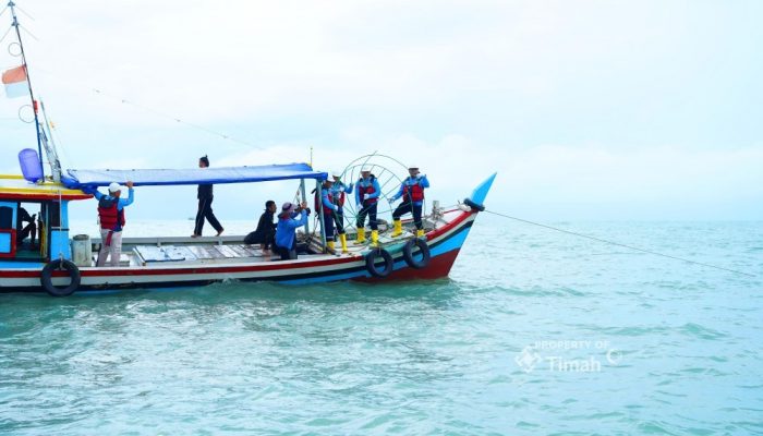Reklamasi Laut PT TIMAH Tbk: 1.920 Unit Artificial Reef Ditenggelamkan untuk Pulihkan Ekosistem, Hadirkan Manfaat Ekologis bagi Perairan