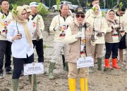 Februari, Bulan Gerakan Kebaikan Gerindra: Tanam 1.000 Mangrove dan Aksi Sosial di Pesisir Lampung