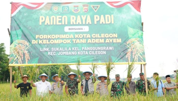 Panen Raya di Panggung Rawi, Forkopimda dan Poktan Adem Ayem Optimistis Tingkatkan Produktivitas