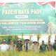 Panen Raya di Panggung Rawi, Forkopimda dan Poktan Adem Ayem Optimistis Tingkatkan Produktivitas