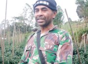 Petani NTT Bersyukur, 3.000 Pohon Buncis Terserap Semua Berkat MBG