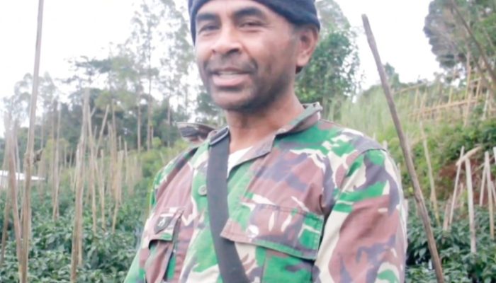 Petani NTT Bersyukur, 3.000 Pohon Buncis Terserap Semua Berkat MBG