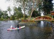 Hijau, Nyaman, dan Edukatif: Tins Green Garden Foresttree Jadi Destinasi Favorit Warga