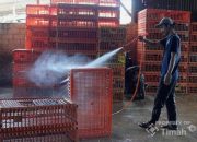 Perkuat Ekonomi Kerakyatan, PT TIMAH Siapkan Beragam Program Pengembangan UMKM