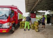 Berawal dari Pangkalan Gas, Kini Usaha Bohal Sinaga Makin Bersinar Bersama PT TIMAH