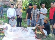 Komisaris PT Cahaya Tiga Putri Mandiri H. Habibbudin Ajak Warga Mampu Berbagi di Hari Raya Idul Adha